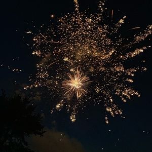 Meet your Posher, Marley